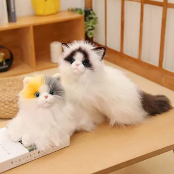 Red Doll Cat Price: Flame Point Ragdoll Cost Guide